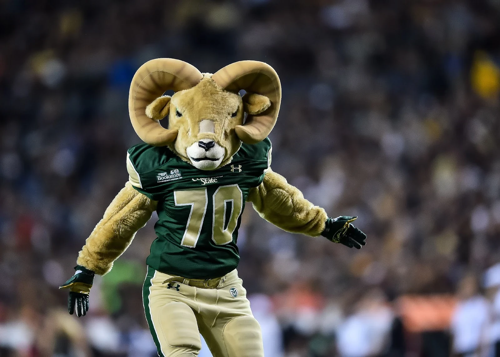 Colorado State Rams mascot Cam the Ram performs during a game.